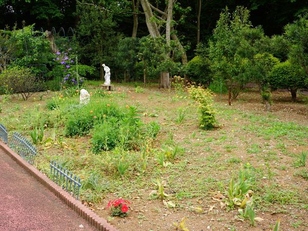 緑豊かな庭園の風景