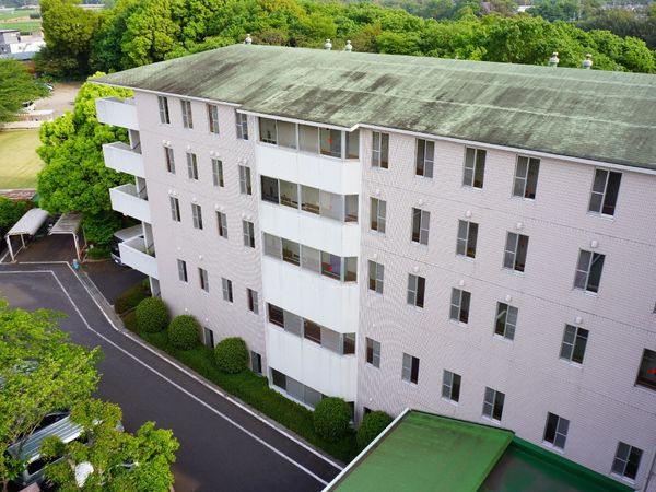 緑豊かな外観の建物