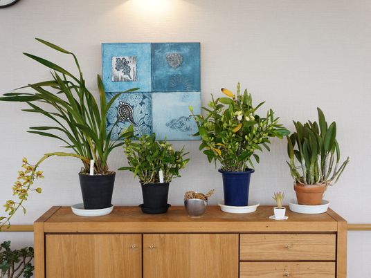 植物とアートの飾り付け