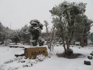 雪景色の中庭  