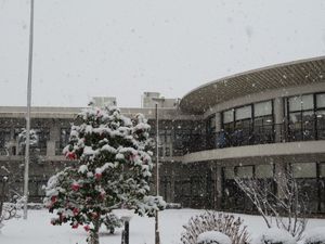 雪景色の中庭  