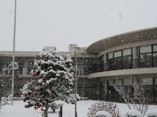 雪景色の中庭  