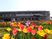 花壇と建物の外観  