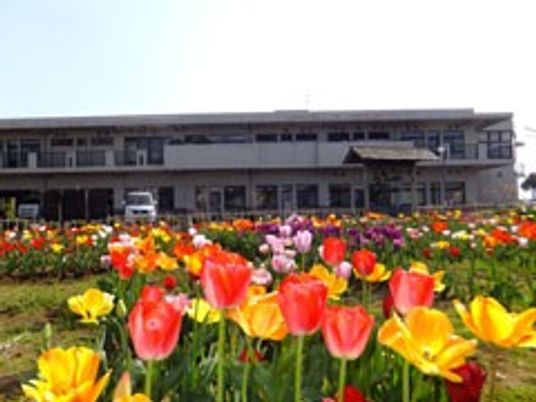 花壇と建物の外観  