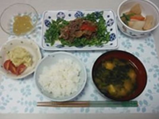 栄養バランスに配慮した料理