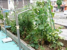 緑豊かな訓練スペース