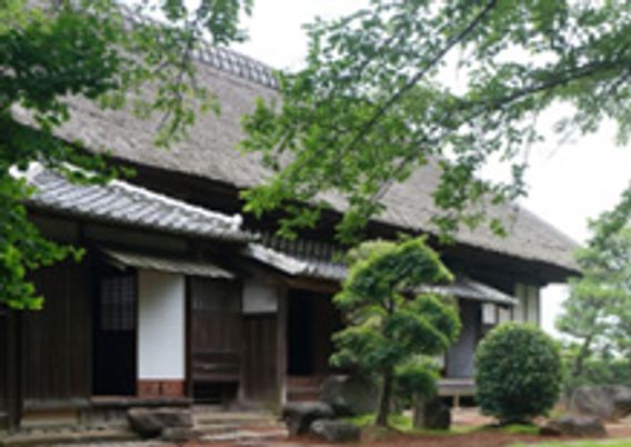 趣ある建物の庭
