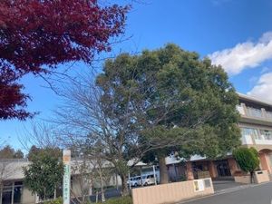 緑に囲まれた外観  
