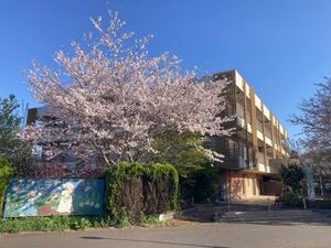 桜と施設外観  