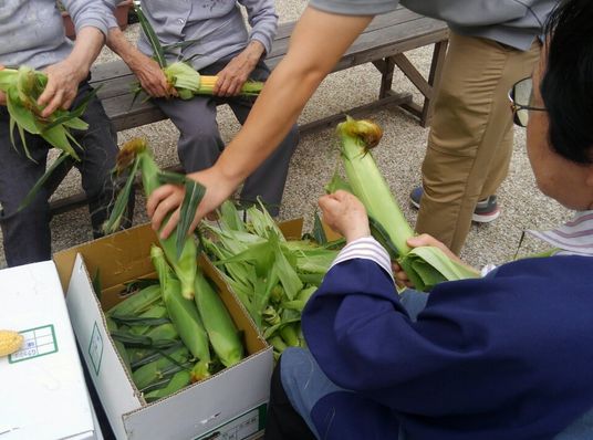 皆で野菜を収穫する中庭  