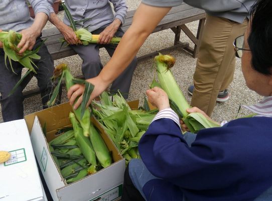 皆で野菜を収穫する中庭  
