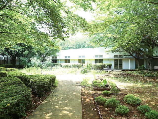 緑豊かな中庭 中庭 自然光がたっぷり差し込む緑豊かな中庭です。職員の憩いの場としても活用できます。