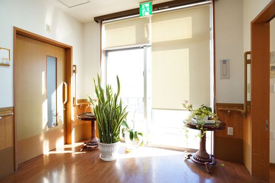 廊下の出入口と植物
