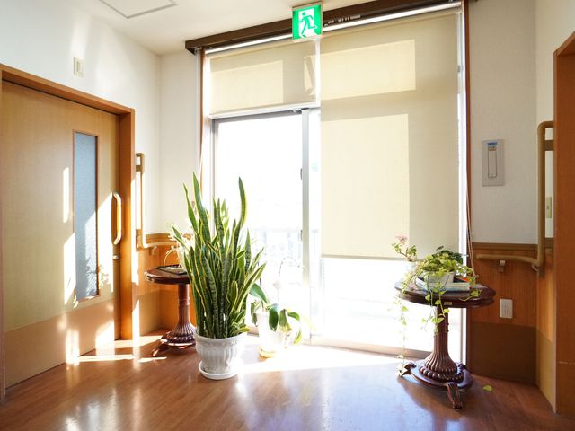 陽光溢れる廊下 廊下 自然光が差し込む清潔な廊下は、植物で彩られており、ゆったりと心地よい雰囲気をお楽しみいただけます。