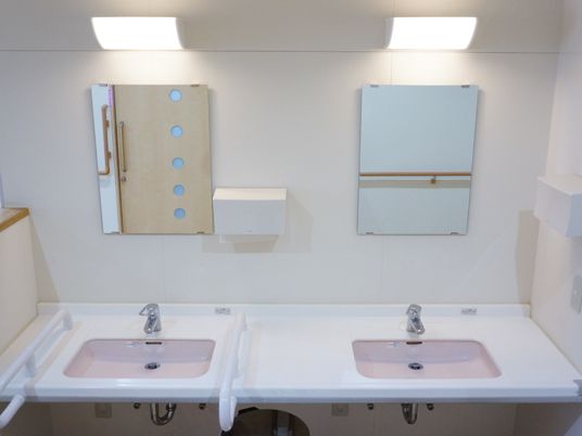 施設の写真 洗面台は二つ並んでいて、一つには転倒防止の手すりが付いている。大きな鏡と照明、手拭きナプキンが備わっている。