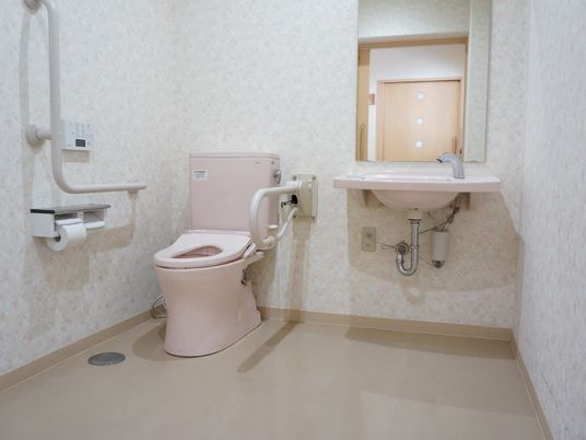 広い空間のトイレは便座の両側に手すりが備わっている。洗面台がすぐ横にあり、水道はセンサー式になっている。