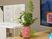 サムネイル リビングのテレビの脇には、誰かが摘んできた草花が、ガラス瓶を折り紙を使って再利用した花瓶に生けられている。