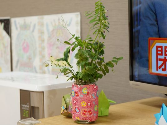 リビングのテレビの脇には、誰かが摘んできた草花が、ガラス瓶を折り紙を使って再利用した花瓶に生けられている。