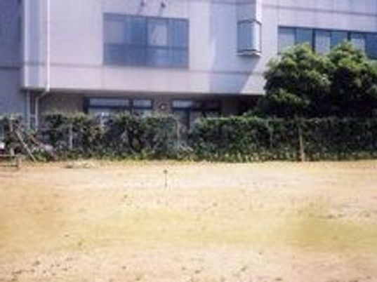 広々とした明るい中庭