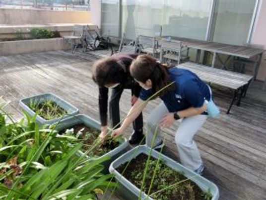 家庭菜園を楽しむテラス