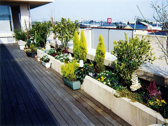 植物が並ぶテラス