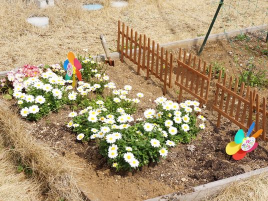 中庭の花壇と風車