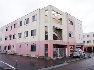 ピンクの建物の外観