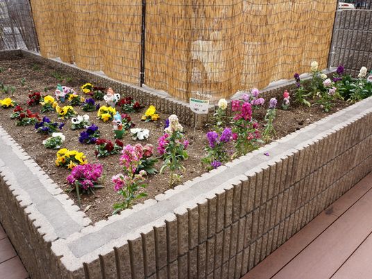 色とりどりの花が咲く中庭