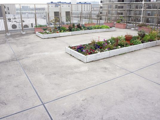 花が咲く屋上の庭