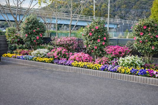 色とりどりの花壇