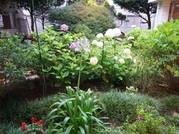 緑豊かな施設の中庭