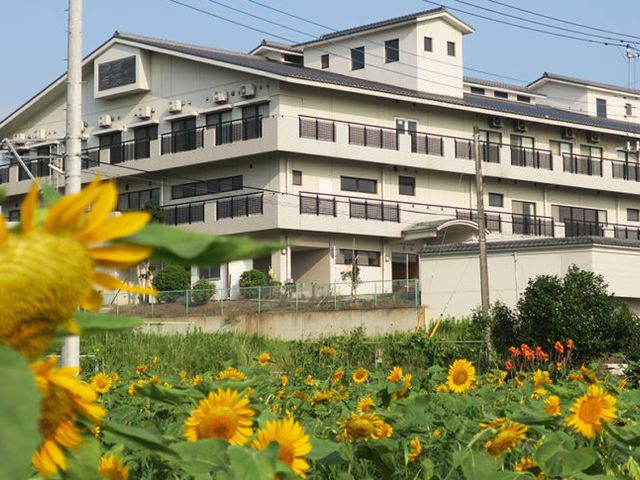 ひまわりが咲く庭 外観 ひまわりが彩る庭が広がる建物の外観です。自然に囲まれた環境での就業はいかがですか。