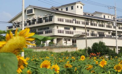 ひまわりが咲く庭