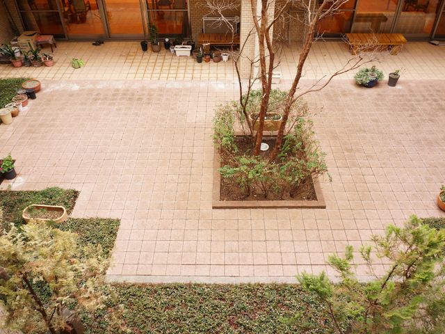 緑豊かな中庭 庭 中庭には植物が丁寧に手入れされ美しい環境が保たれており、リラックスした時間を過ごせそうです。