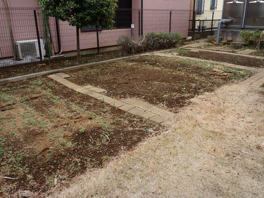 広々とした緑の中庭