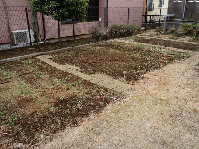 広々とした緑の中庭 畑 ゆったりとした時間を過ごせる中庭です。四季折々の自然を身近に感じながら憩いのひとときを楽しめます。