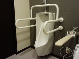 手すり付トイレの内観