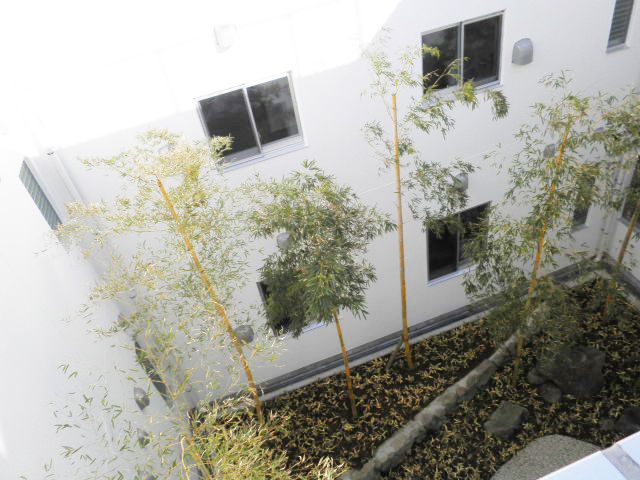 自然光あふれる庭 庭 自然の光をたっぷりと取り入れた庭です。豊かな緑が、心地よい環境を提供します。