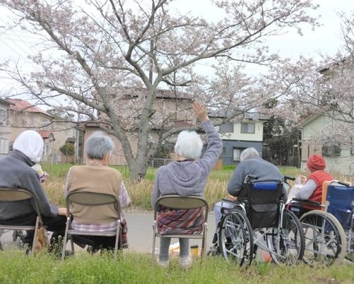 お花見を楽しむ方々の様子