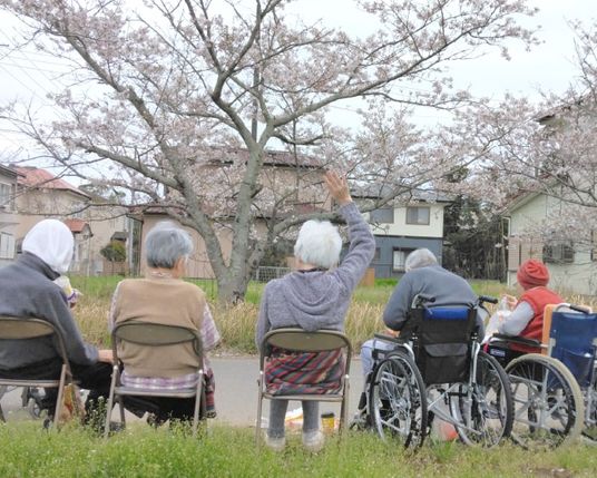 お花見を楽しむ方々の様子
