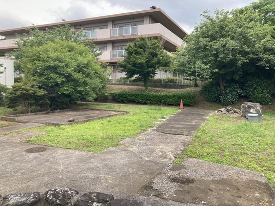 緑豊かな庭