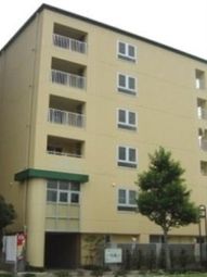 明るい外観の建物