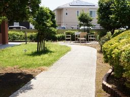 緑豊かな中庭の小道