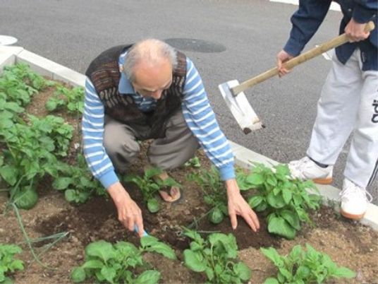 庭の作業をする人々