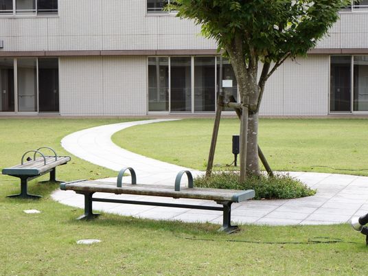 緑豊かな中庭の景観