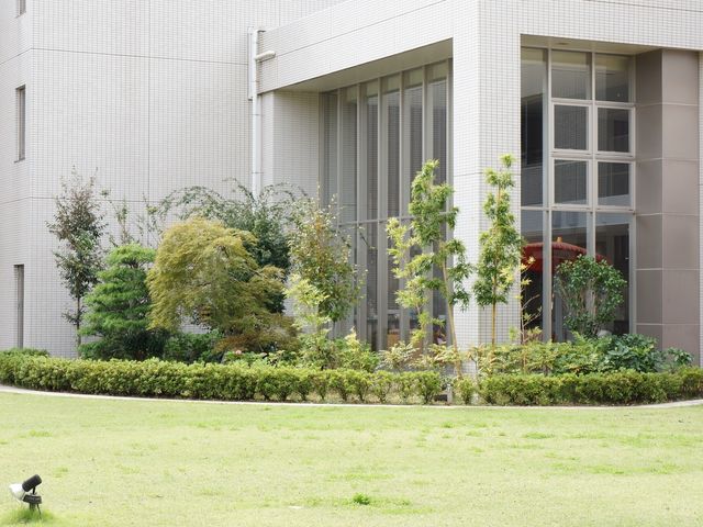 静かな中庭の景色