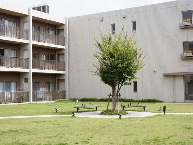 緑豊かな中庭風景 中庭 清々しい中庭が、日々の憩いの場を提供しております。常緑樹に囲まれた環境でのびのびと過ごせます。
