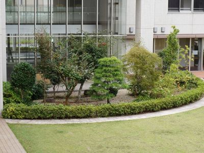 緑豊かな施設の庭