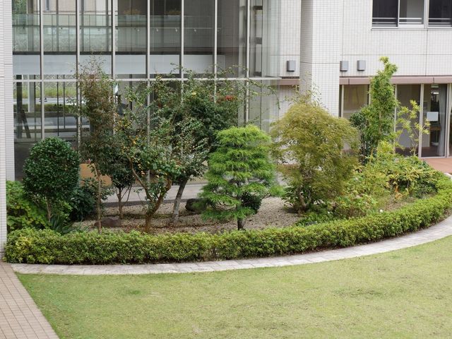緑豊かな施設の庭 外観 ゆったりとした時を感じさせる緑あふれる庭です。居心地の良い環境で日々を送ることができます。