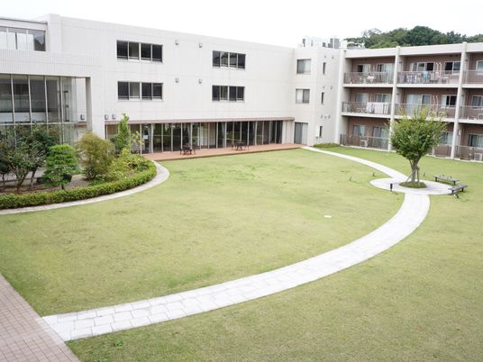 広々とした緑豊かな中庭